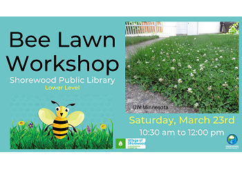 SWCC Bee lawn_newsflash