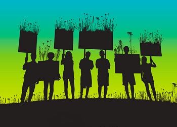 RegeneratingLifeFilm_newsflash