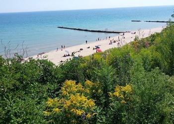 bluff plantings beach_newsflash