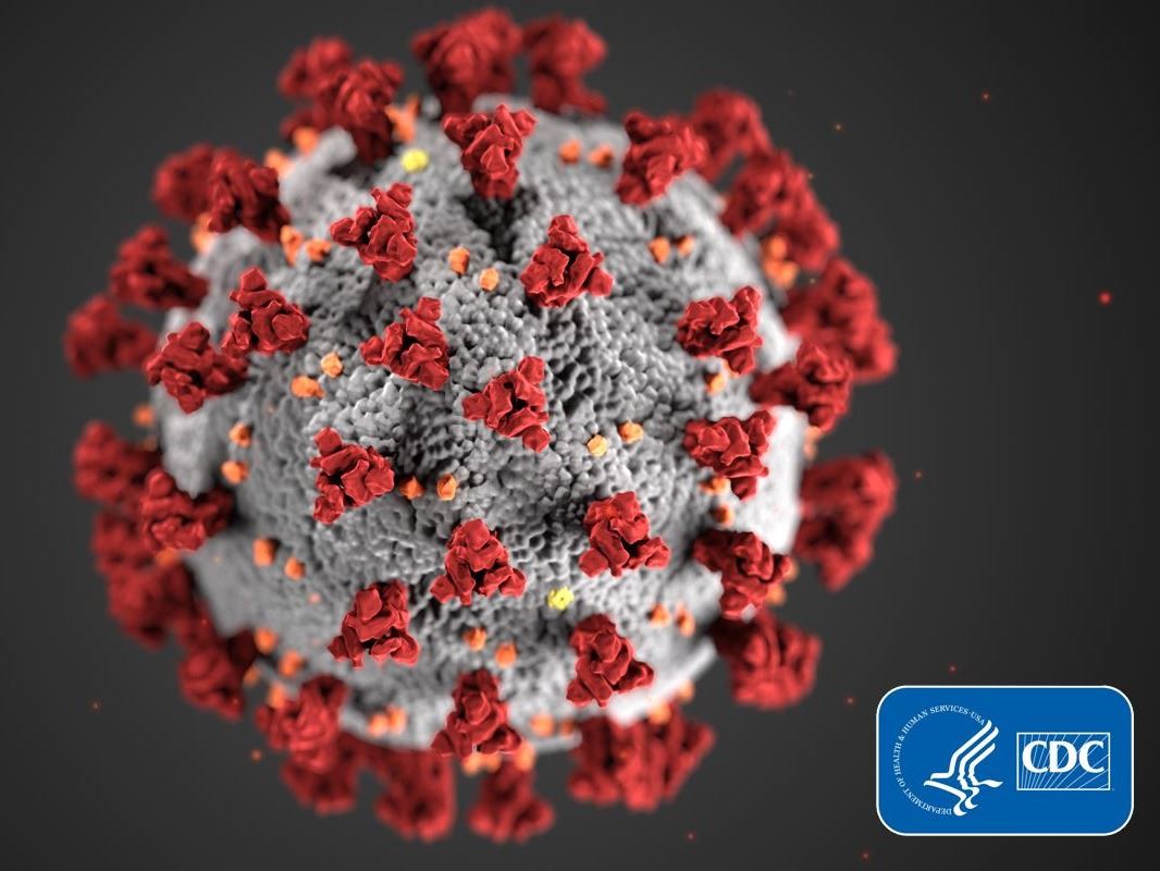 Coronavirus