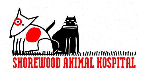 animal hospital small